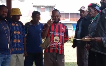 Selama 4 Tahun Lebih Tanaman Hancur, Warga Jenggerbaga Ilaga Minta Sapi Berkeliaran Dimusnahkan