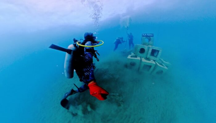 Dukung Lingkungan Pesisir, PLN UIW Papua dan Papua Barat Rutin Lakukan Pelestarian Laut di Jayapura