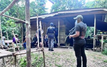 Satgas Kepolisian Operasi Damai Cartenz Kembangkan Penangkapan YN, Amankan Sejumlah Barang Bukti Di Keerom