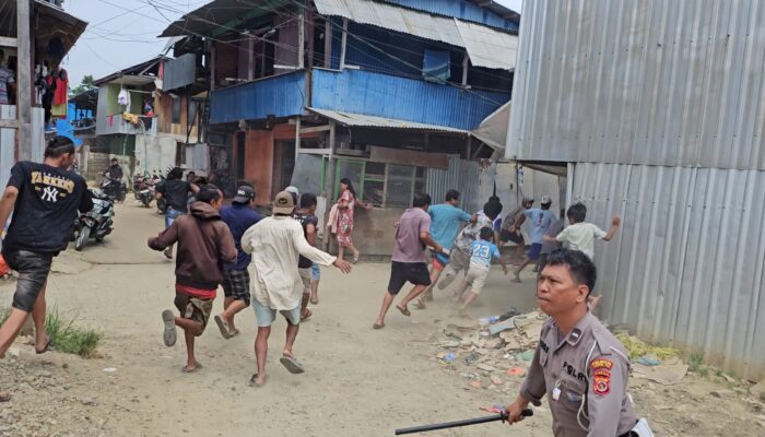 Sabung Ayam Berulang di Belakang Pasar Youtefa, Polsek Abepura Amankan Tujuh Ekor Ayam